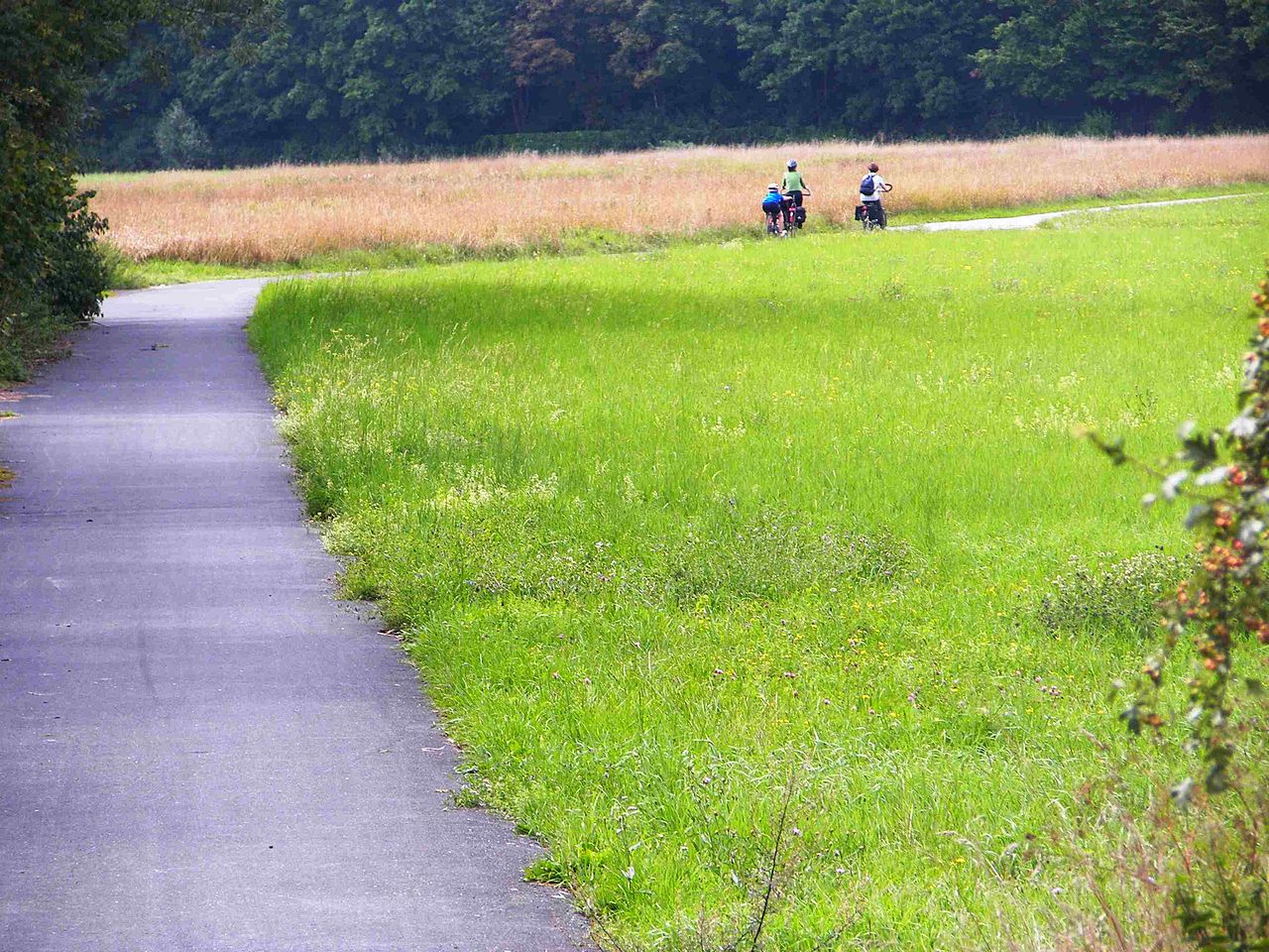 Aisch_Rad_Weg